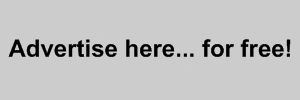 300x100 advertisement