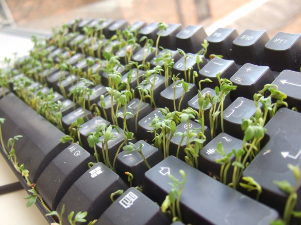 garden_cress_keyboard