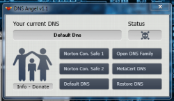 DNS Angel Main UI