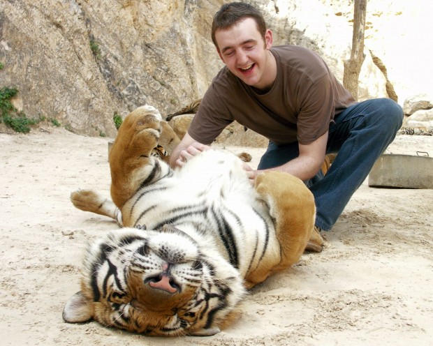 tickling_a_tiger