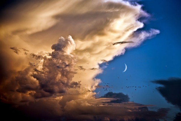 venus_moon_birds_clouds_photo