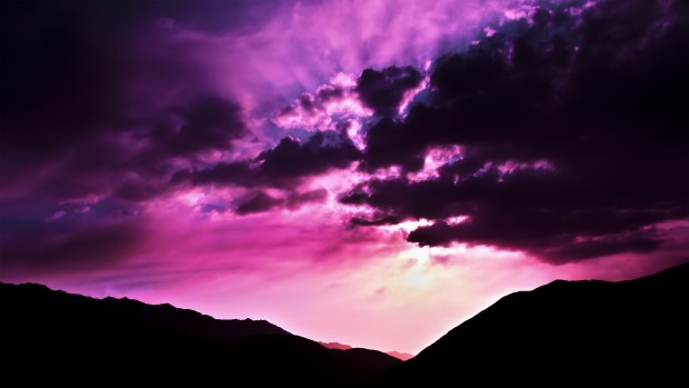 purple_morning_2560x1440
