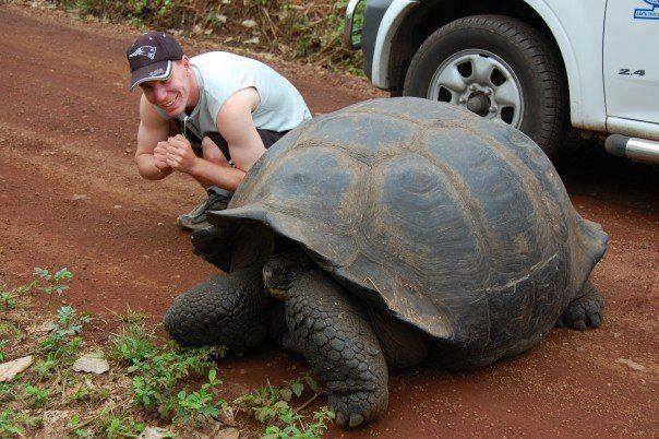 large_tortoise