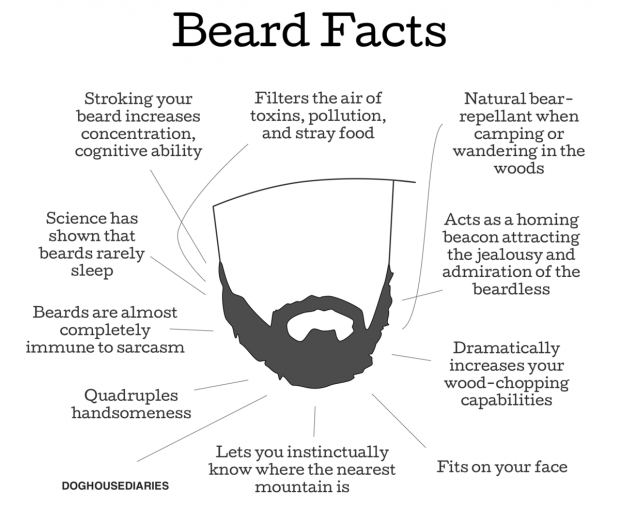 Beard-Facts-Comic