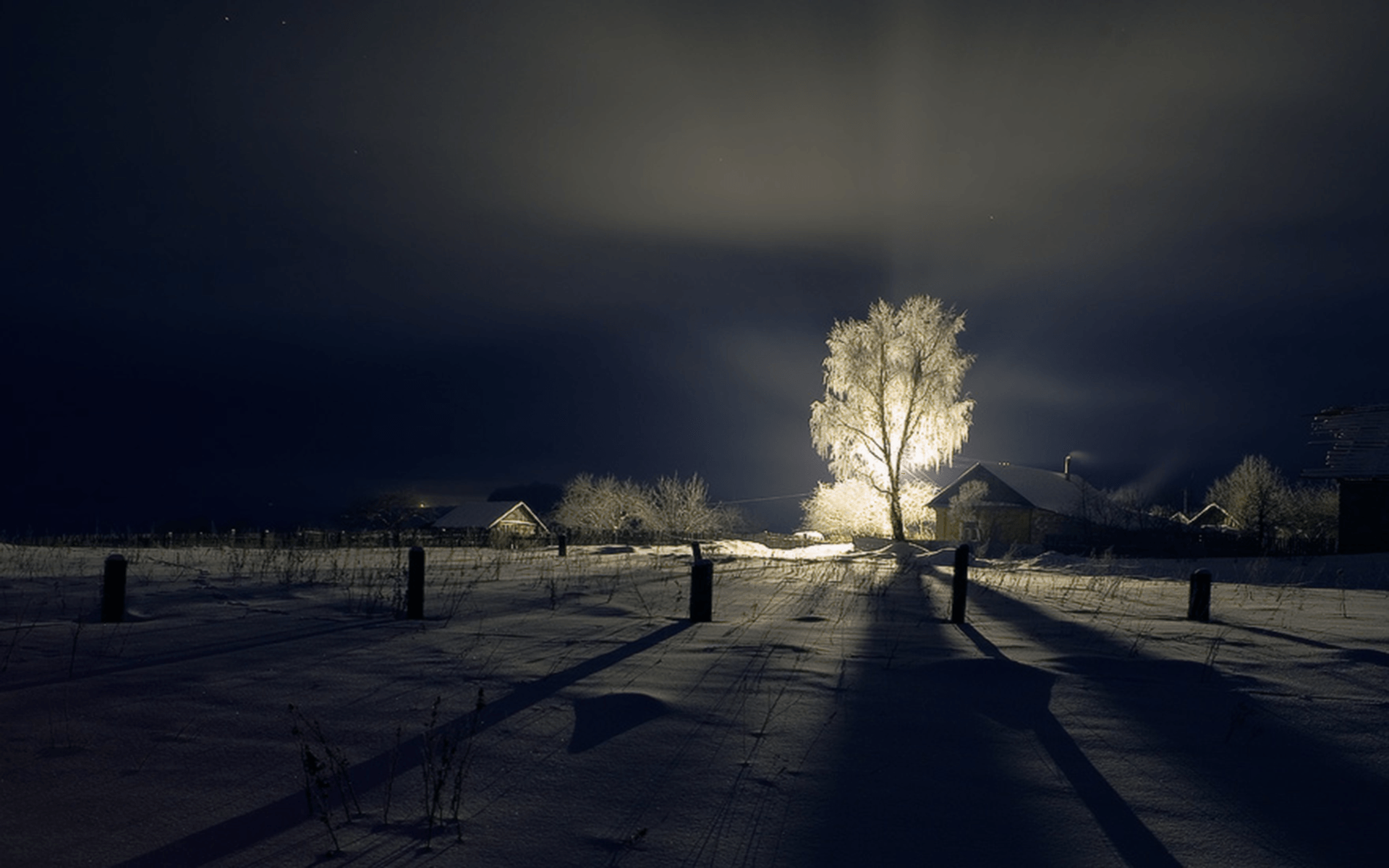 winter night landscape photography