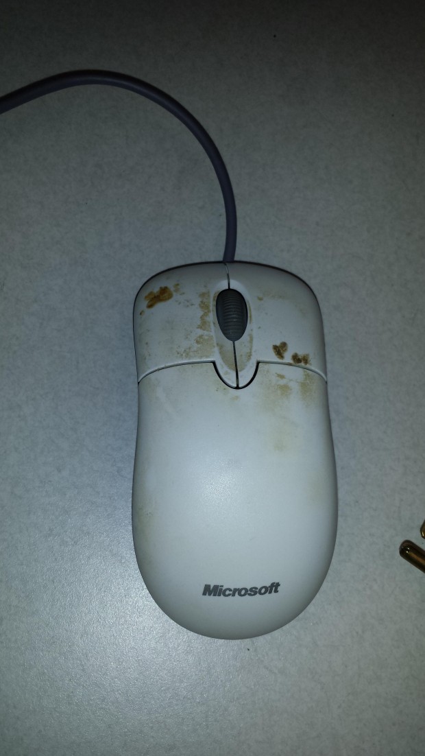 dirty mouse
