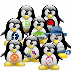 The Linux Family