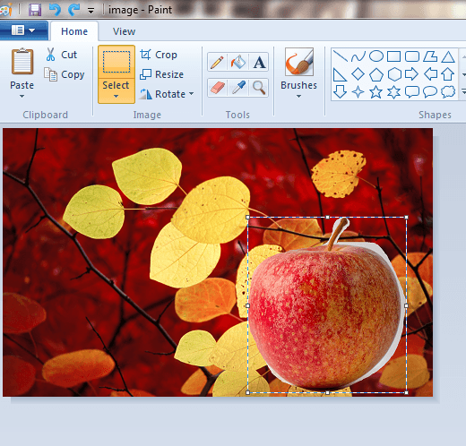 ms paint for mac os x download