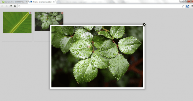 add to image gallery Chrome c